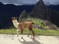 macchu-pichu-jpeg